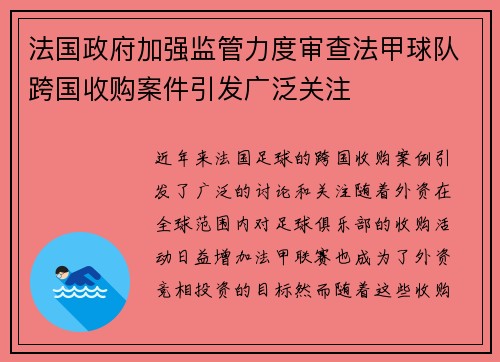 法国政府加强监管力度审查法甲球队跨国收购案件引发广泛关注