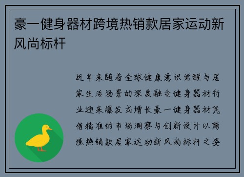 豪一健身器材跨境热销款居家运动新风尚标杆