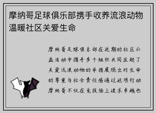 摩纳哥足球俱乐部携手收养流浪动物温暖社区关爱生命