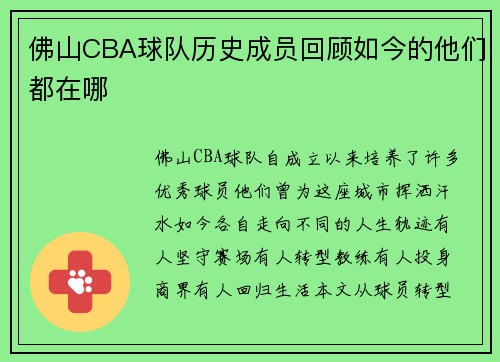 佛山CBA球队历史成员回顾如今的他们都在哪